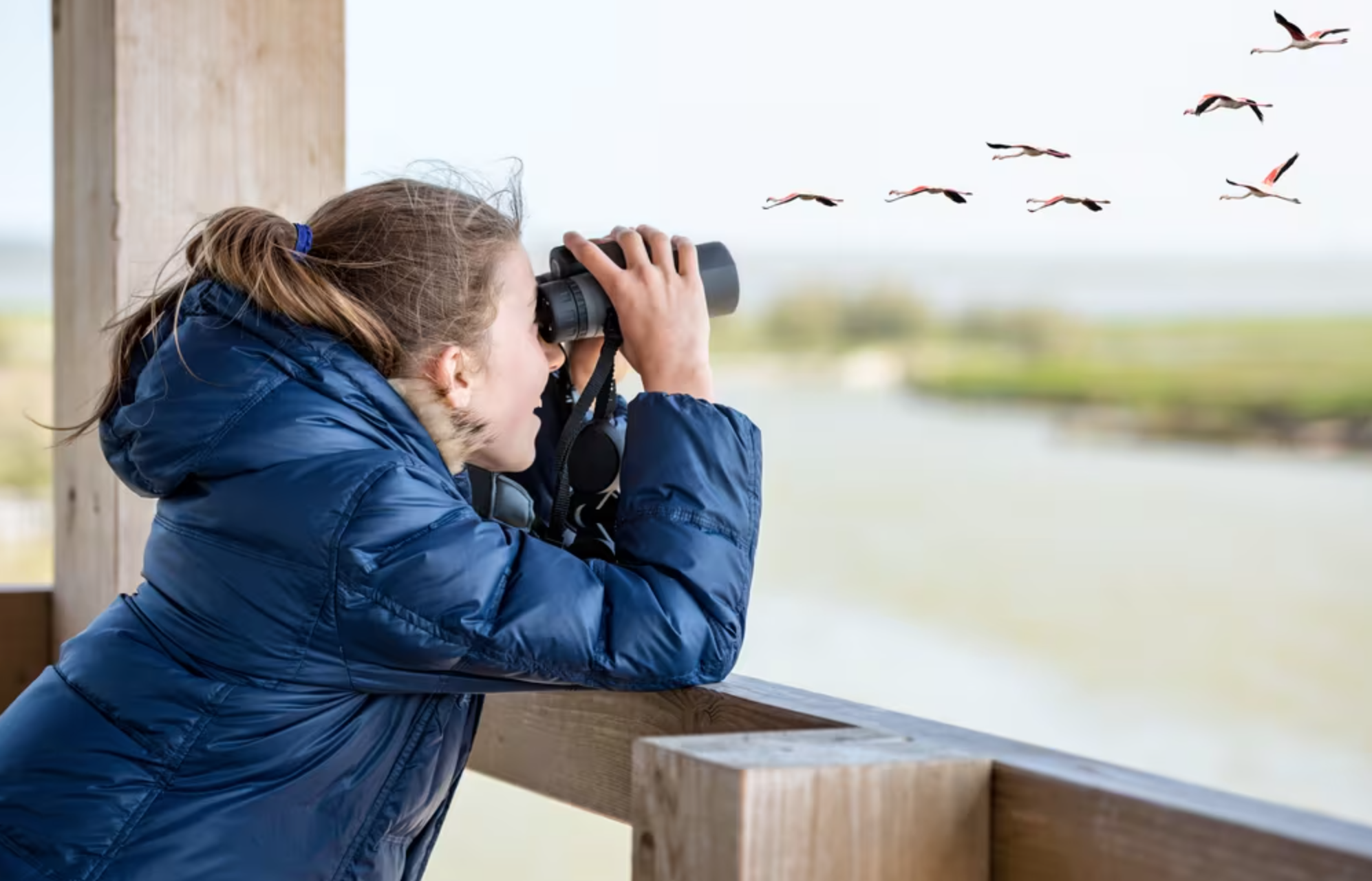 The park is a birdwatcher's paradise, with over 200 bird species recorded in the area.