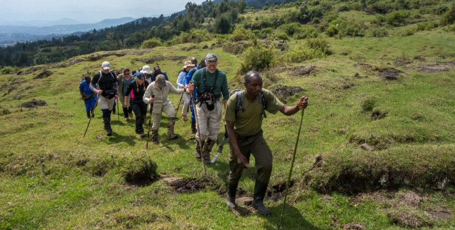 Hiking-and-nature-walks-in-Gishwati-Mukura-national-park