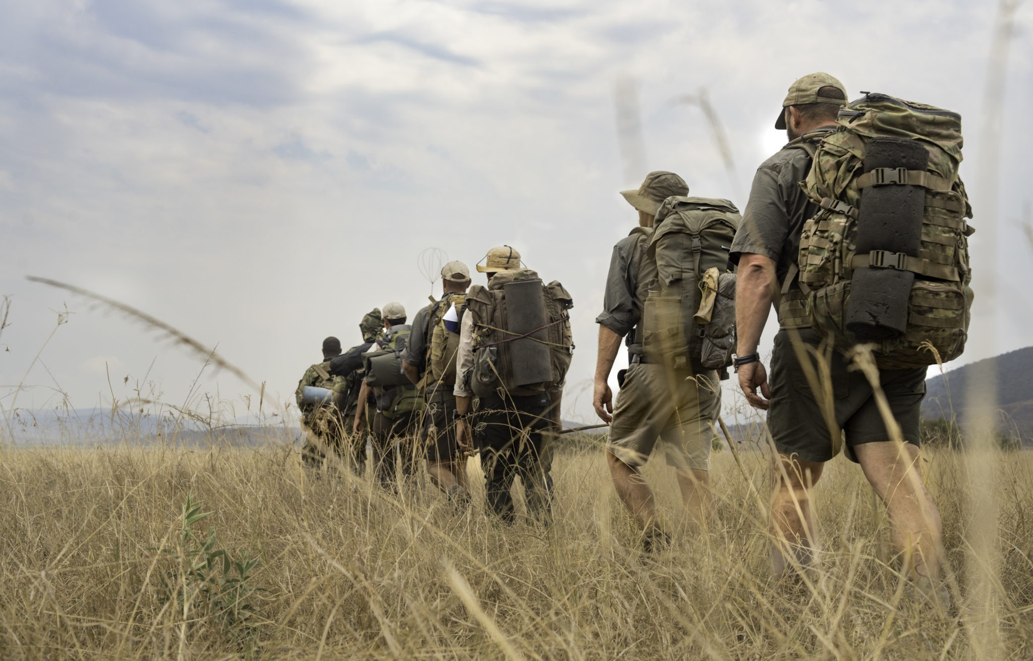 Explore the park’s landscapes on foot, gain insights into smaller details of the ecosystem