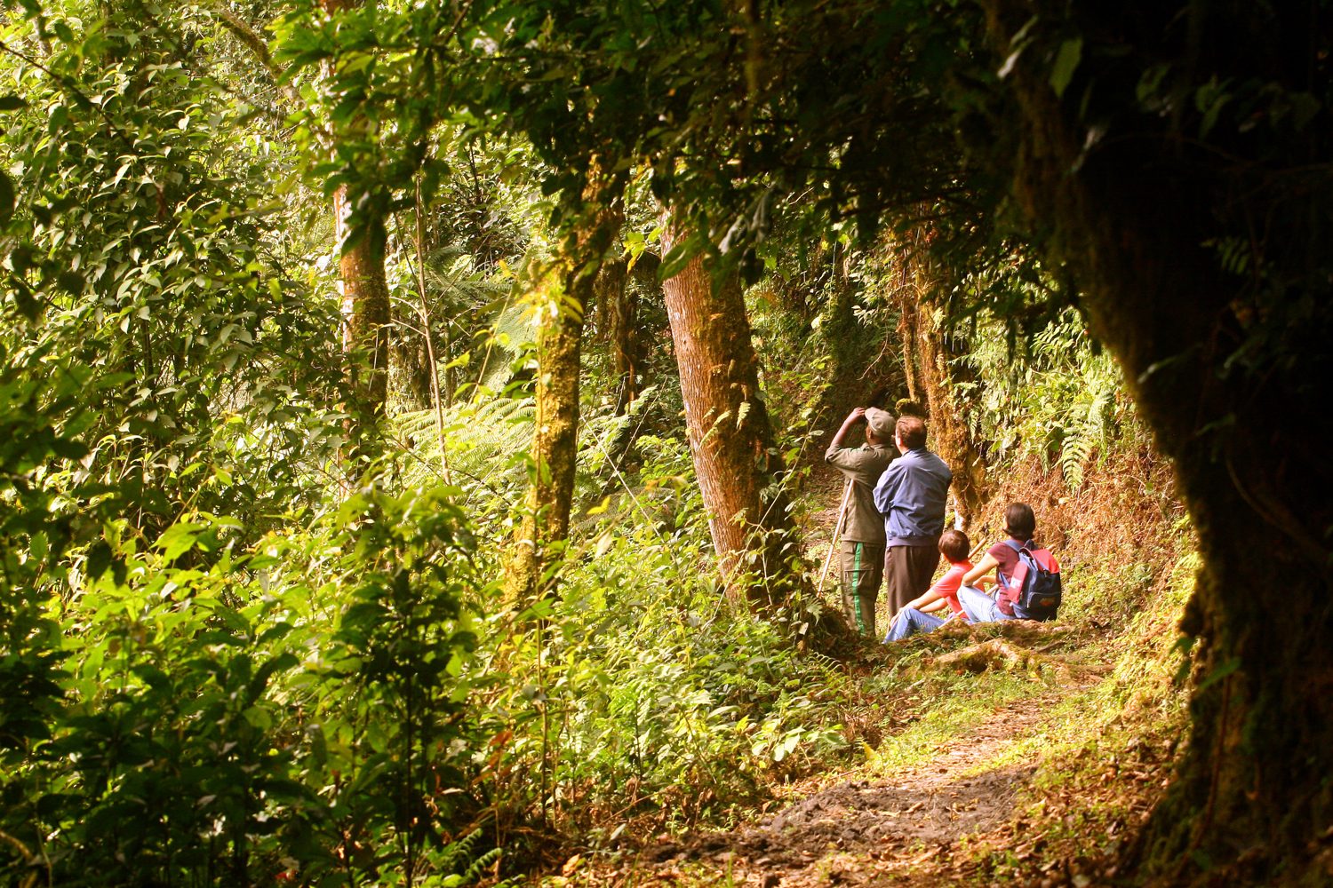 Explore over 130 kilometers of hiking trails through diverse ecosystems.