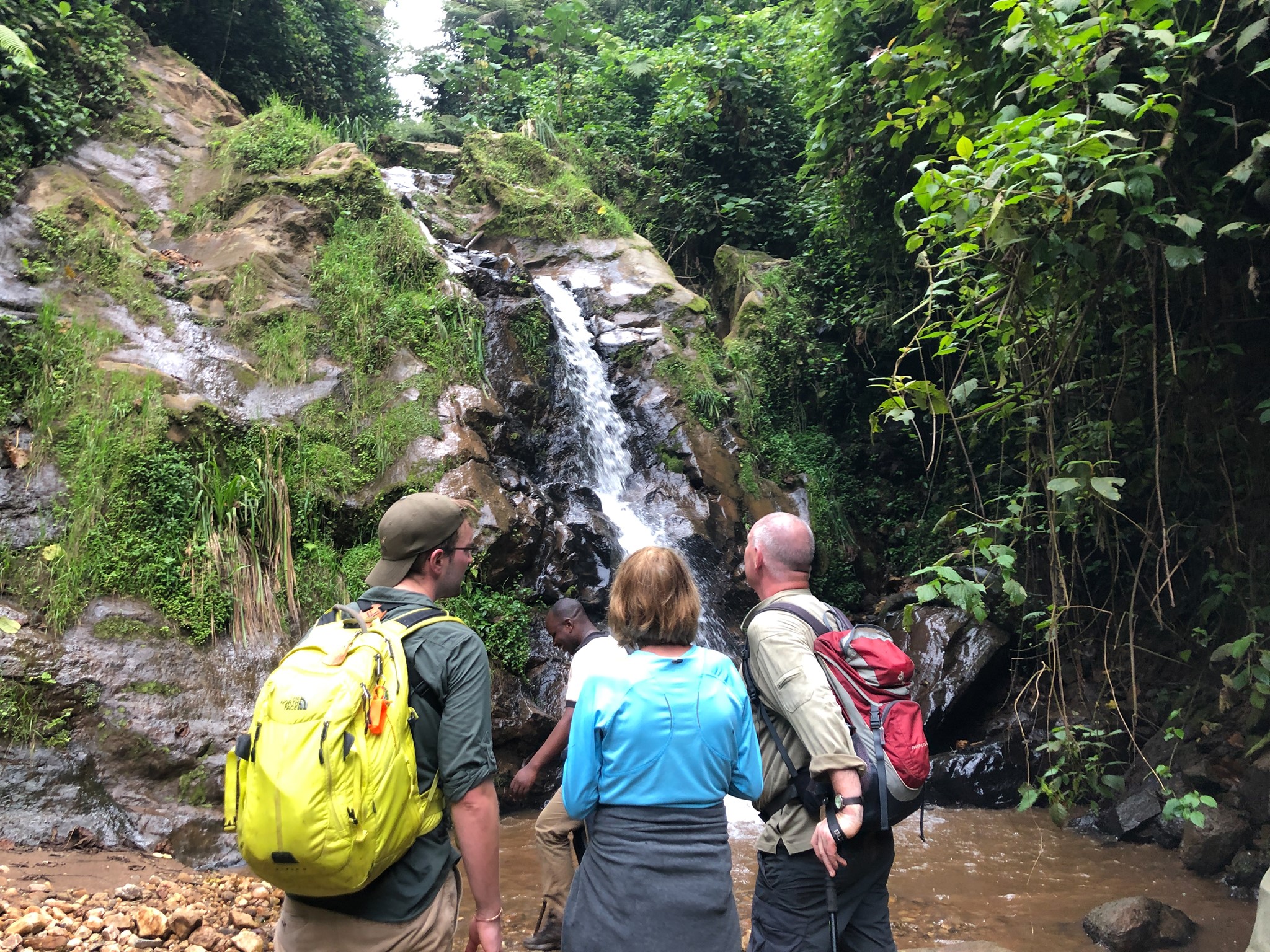 Enjoy hikes to the park’s beautiful waterfalls.